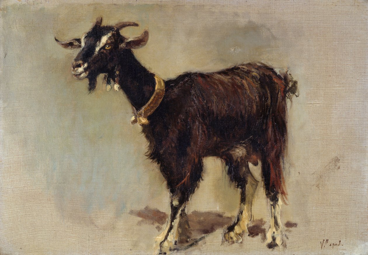 Goat by Vincenzo Caprile: Premium art reproduction