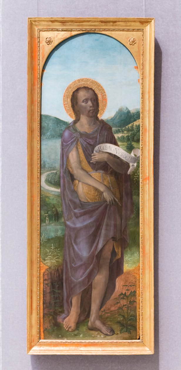 Saint John the Baptist by Vincenzo Foppa