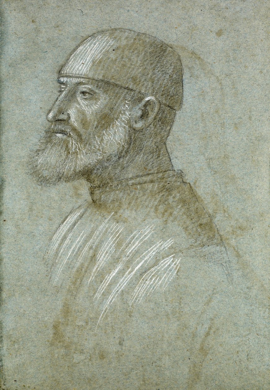 Head of Bearded Man Wearing a Cap, in Profile to the Left by Vittore Carpaccio