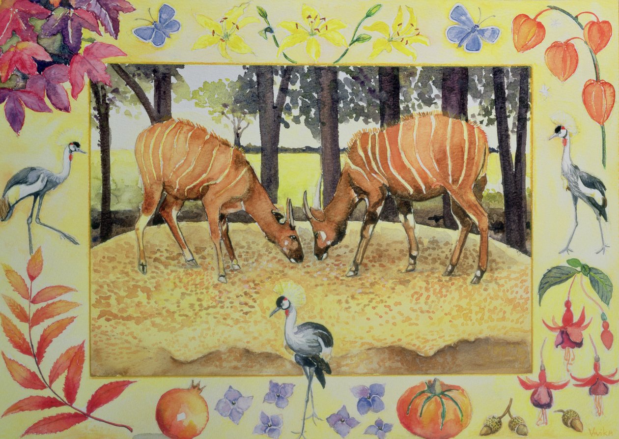 Bongo (month of October from a calendar) by Vivika Alexander