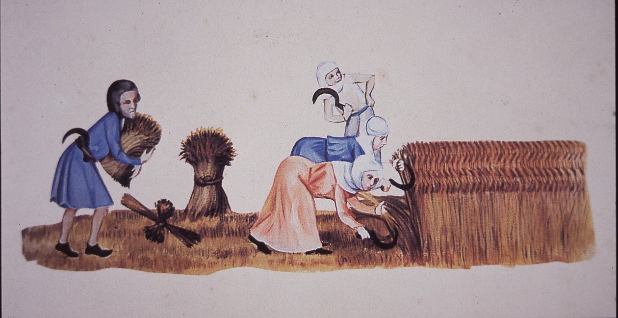 Medieval women harvesting corn, after a scene from the Luttrell Psalter by John Ward Dunsmore