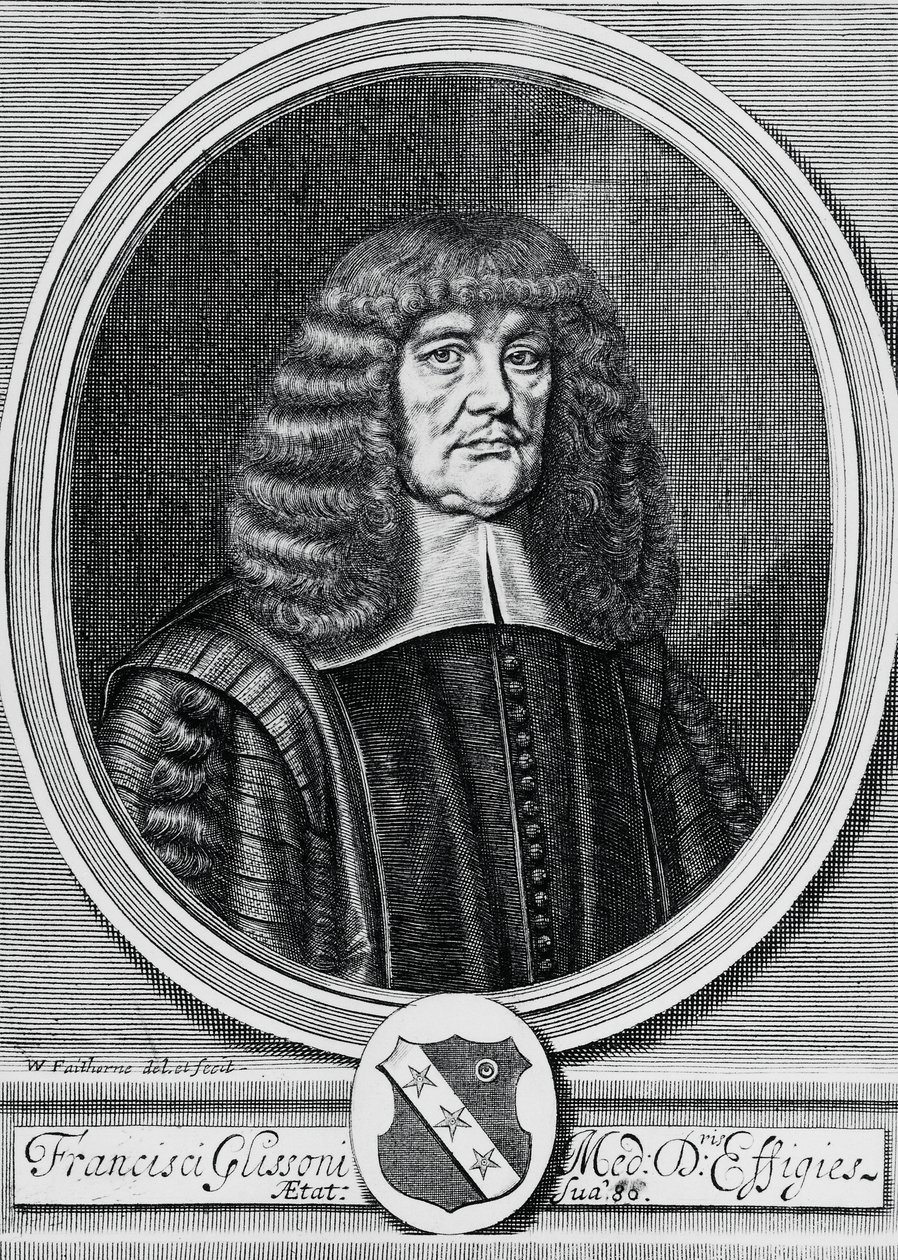 Portrait of Francis Glisson, British physicist, anatomist and physician, engraving by John Ward Dunsmore