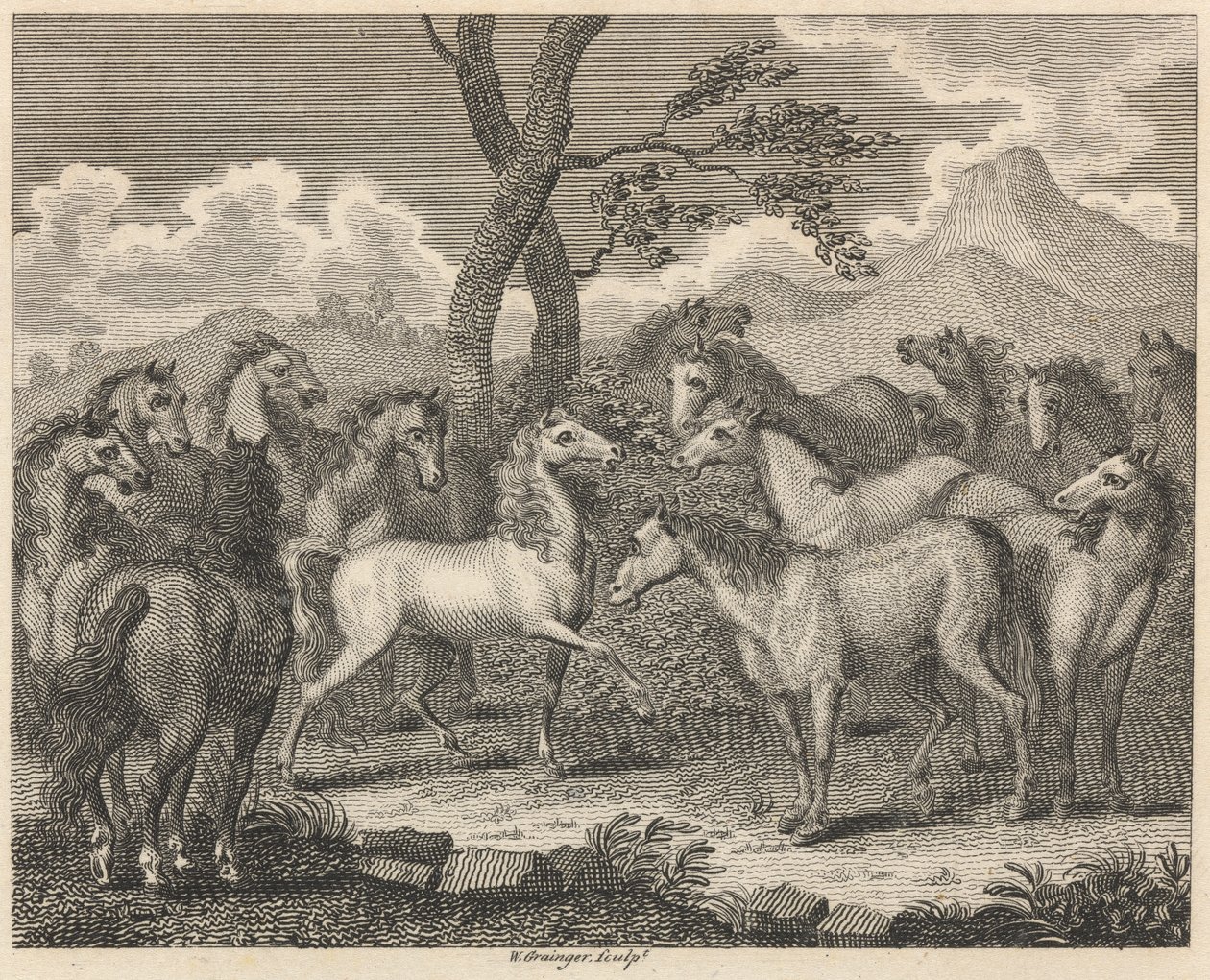 The Council of Horses by W. Grainger