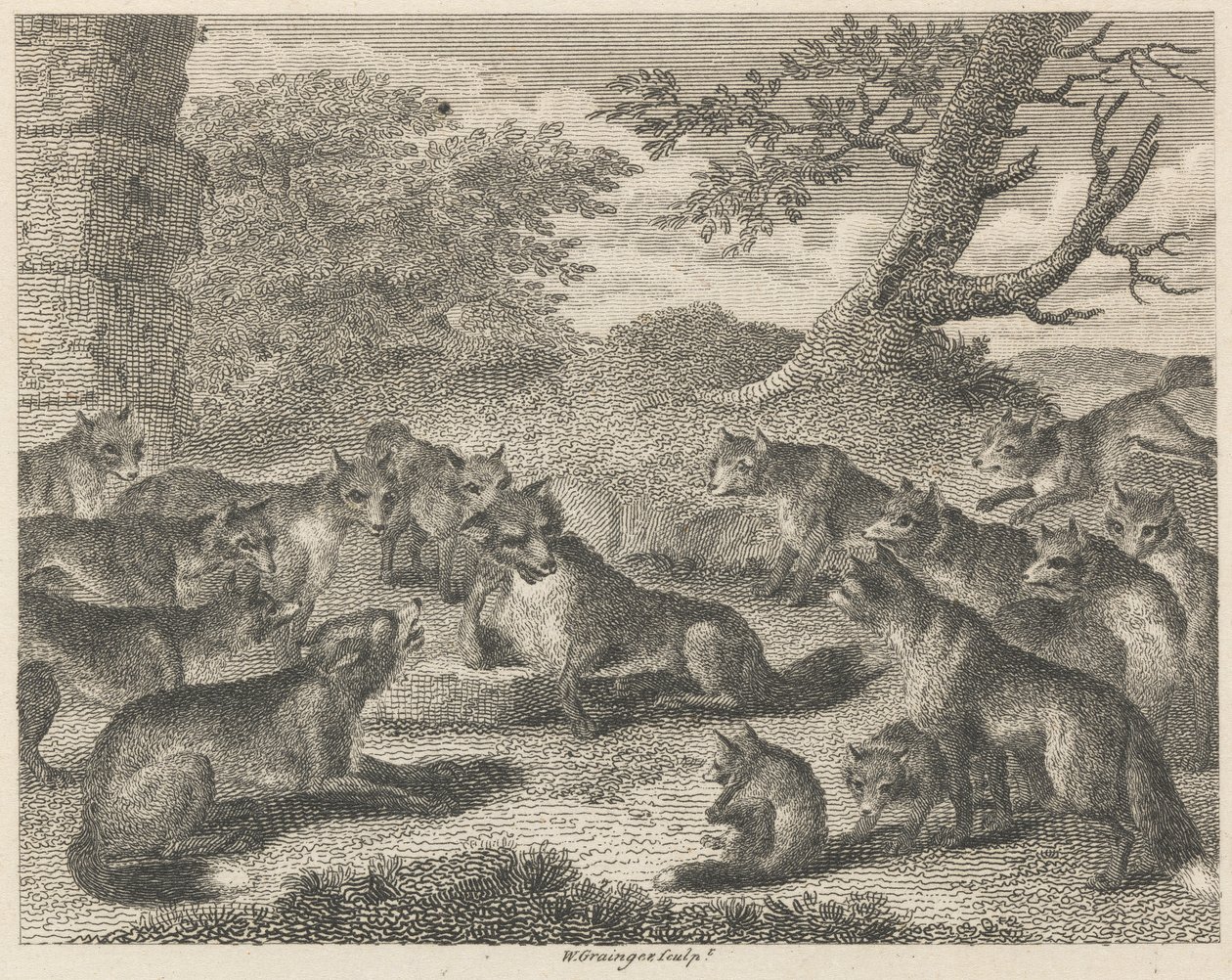 The Fox at the Point of Death by W. Grainger