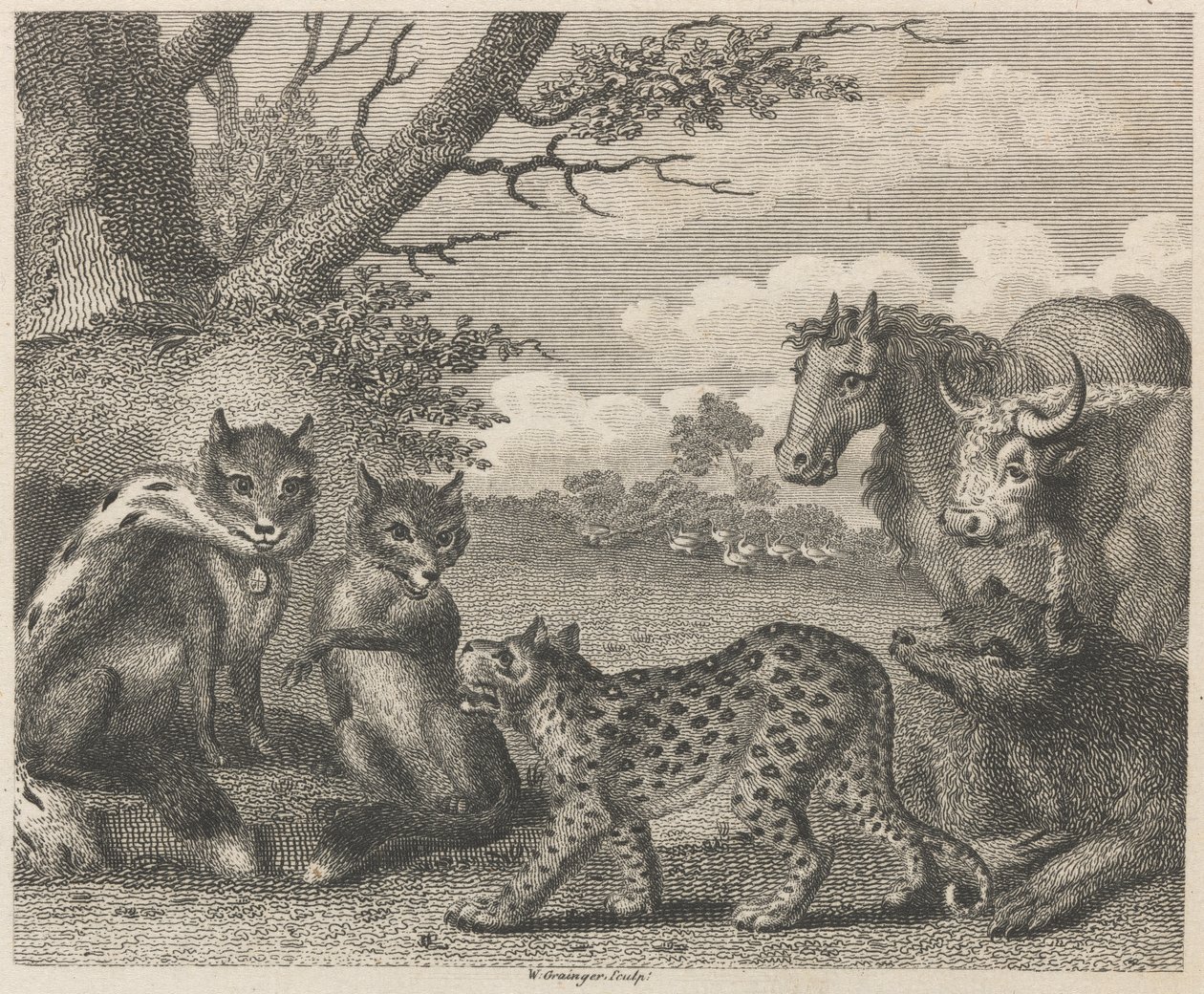 The Lion, the Fox, and the Geese by W. Grainger