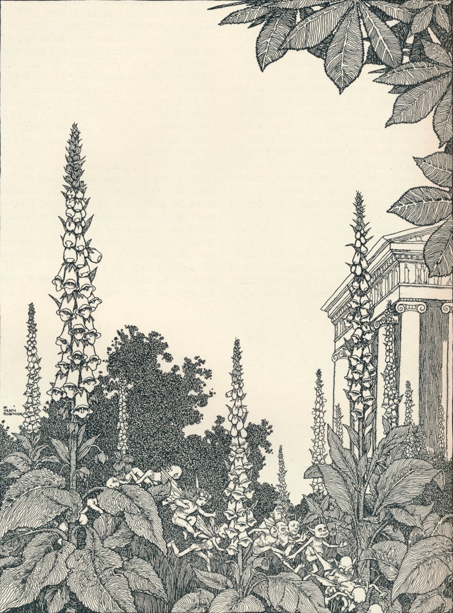 Illustration to A Midsummer Night