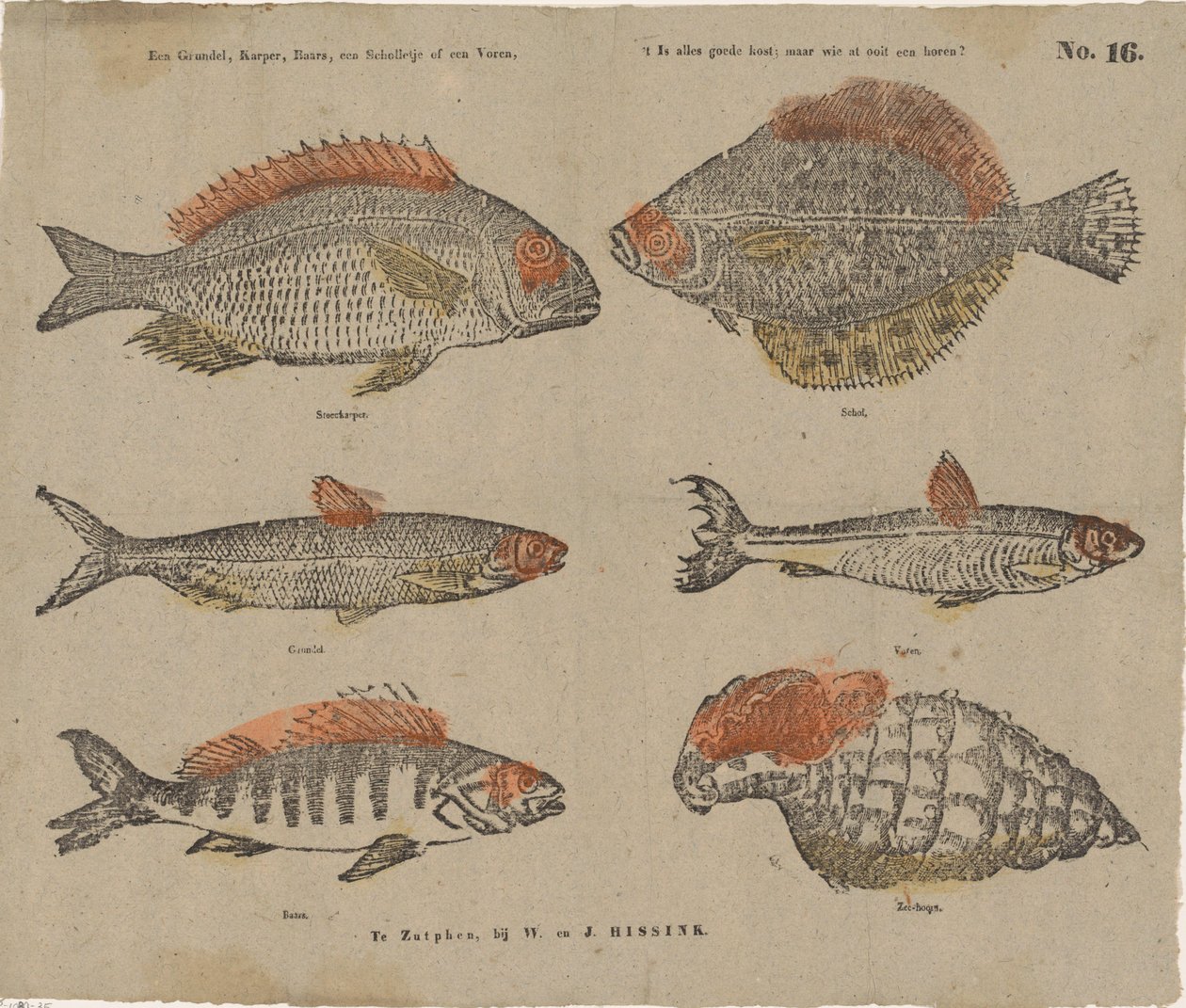 A Grundel, Carp, Perch, a Plaice or a Voren, It