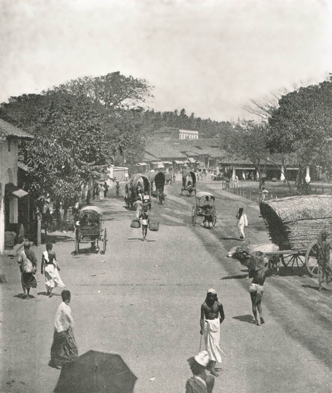 Street Scene Near the Town Hall, Colombo, Ceylon by W and S Ltd