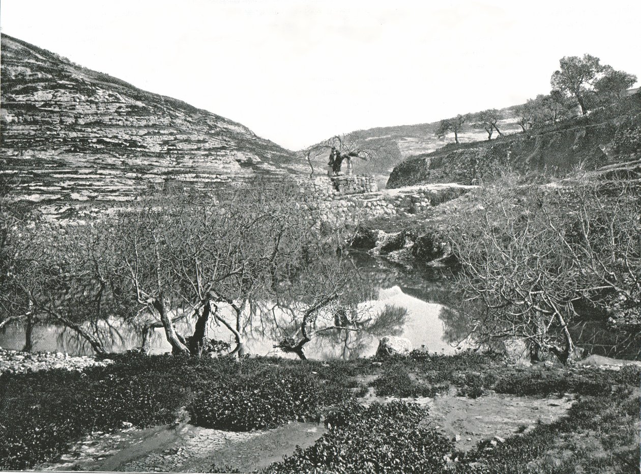The Pool of Siloam, Jerusalem, Palestine by W and S Ltd