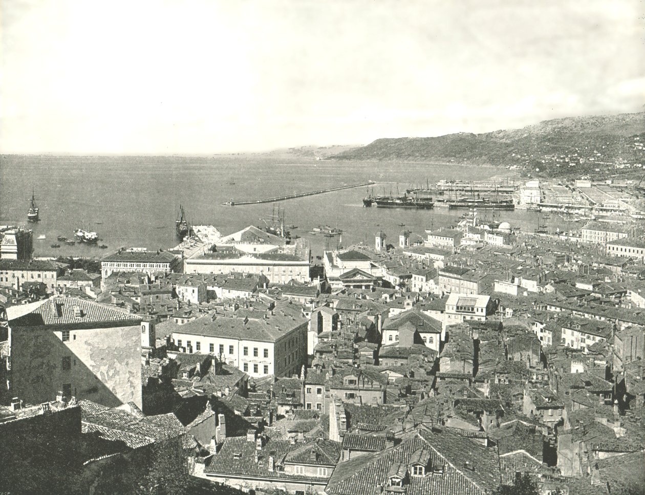 Town and Harbour, Trieste, Italy by W and S Ltd