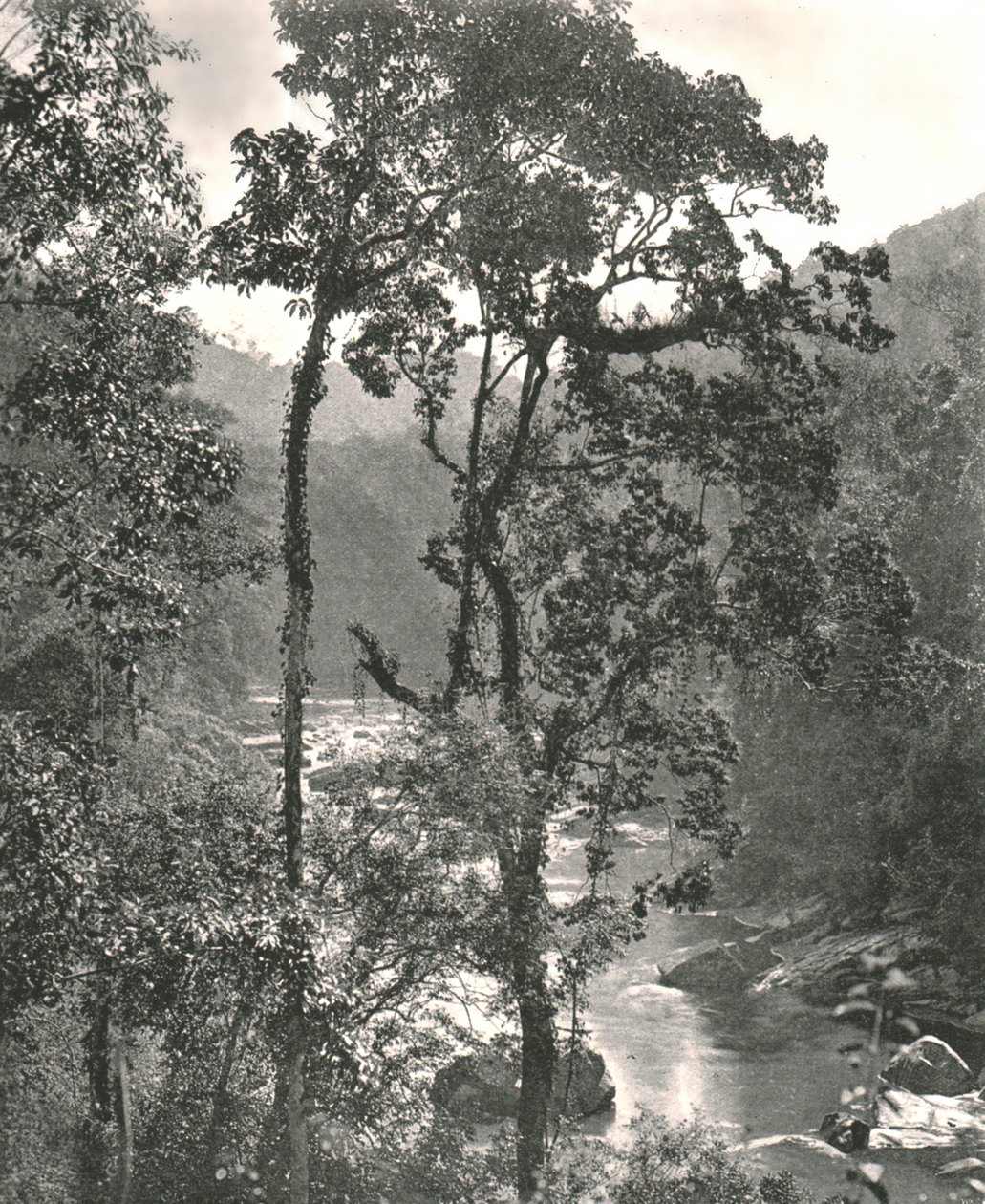 View of the Kelani River, Kurunegala, Ceylon by W and S Ltd
