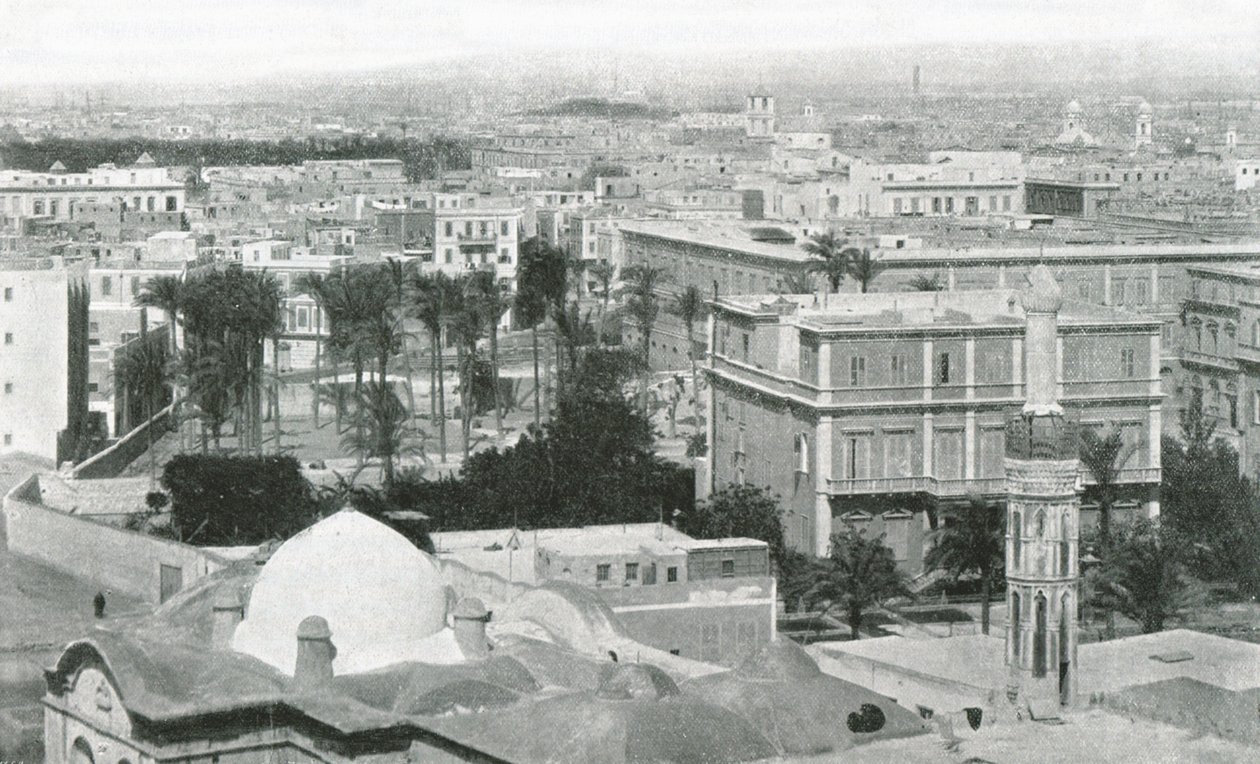 View of the City of Alexandria, Egypt by W and S Ltd