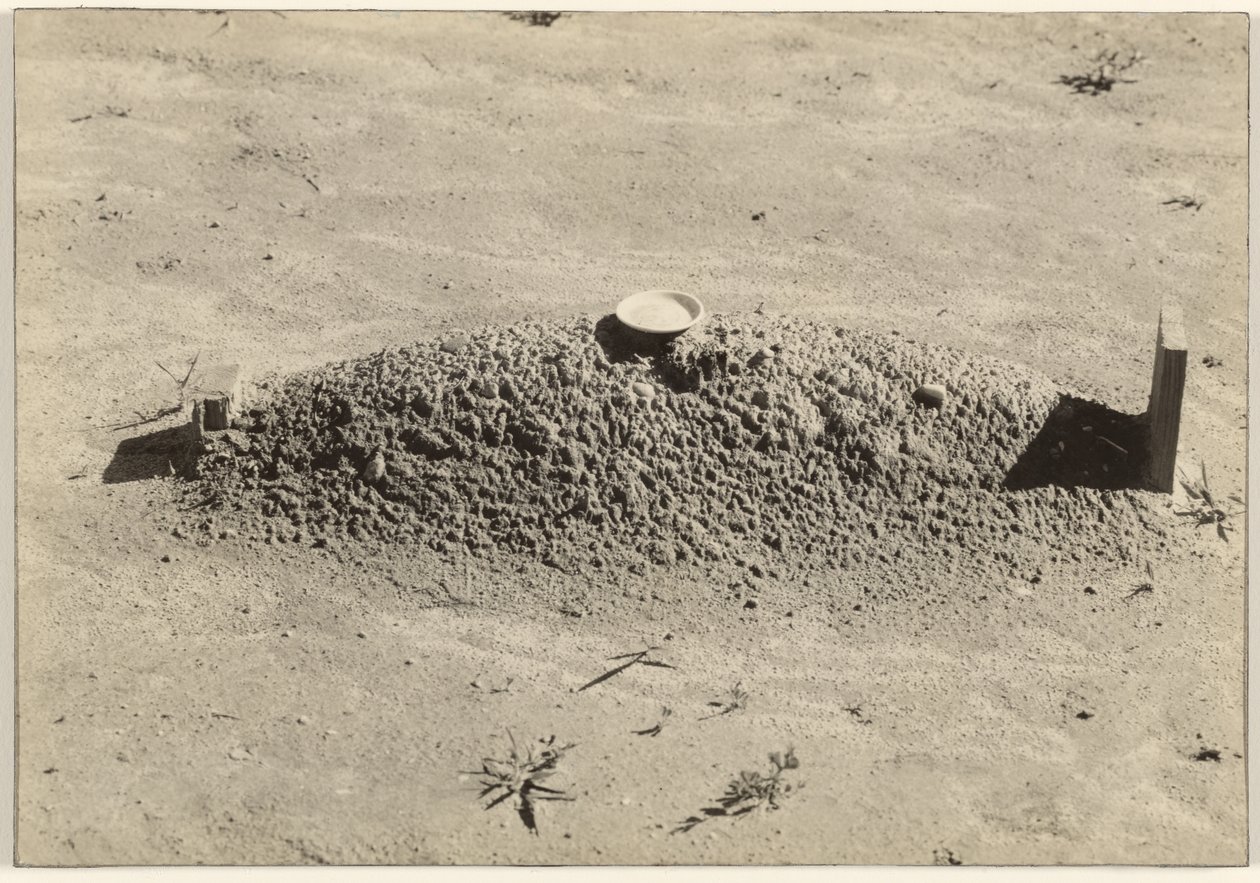 A Baptist Grave, Hale County, Alabama by Walker Evans