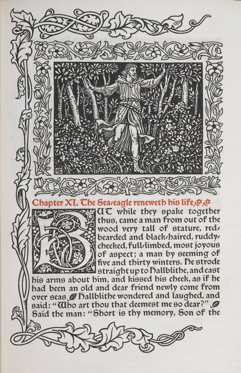 Chapter XI. The sea eagle renews his life by Walter Crane