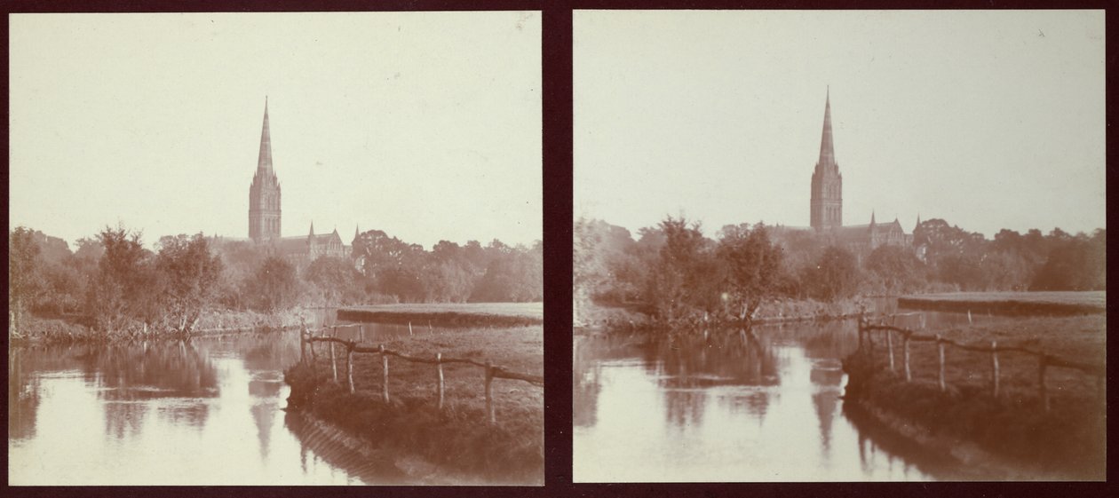 Salisbury Cathedral, Salisbury, Wiltshire by Walter Edward Zehetmayr