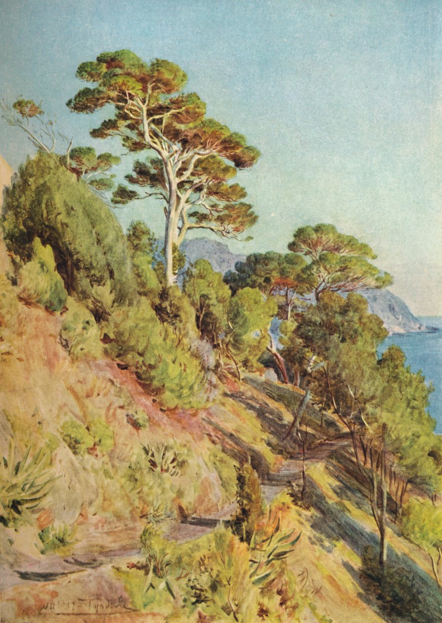 In the Villa Piuma, Sestri Levante by Walter Frederick Roofe Tyndale