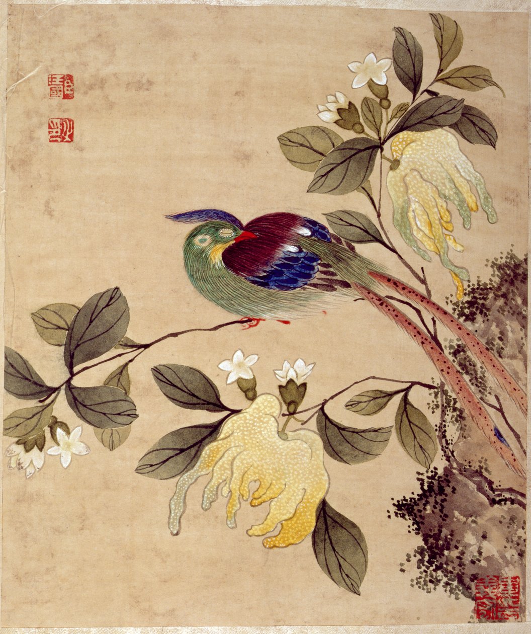 One of Series of Paintings of Birds and Fruit, Late 19th Century by Wang Guochen