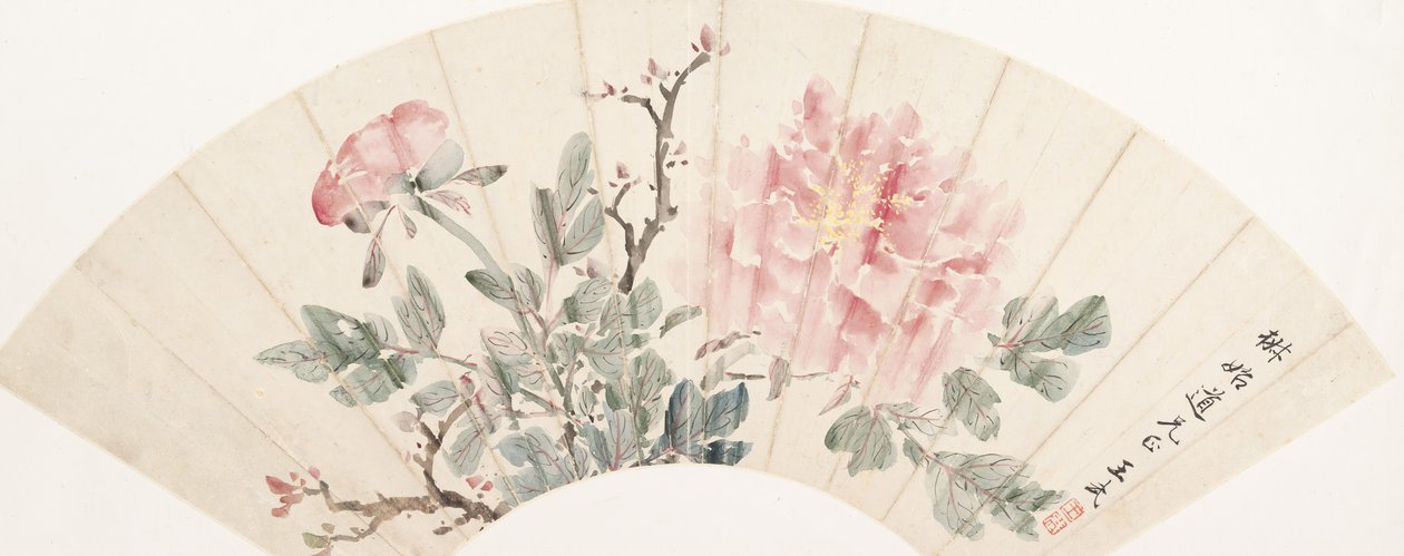 Peony by Wang Wu