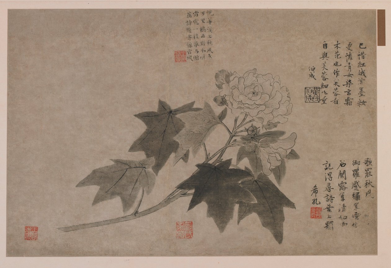 Hibiscus by Wang Yuan
