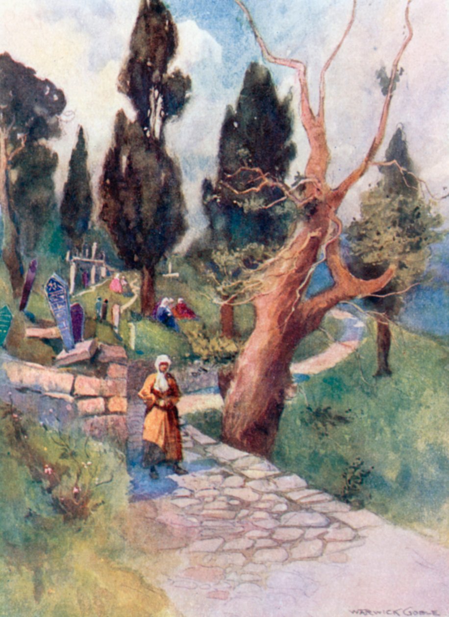 Cemetery at Eyoub by Warwick (after) Goble
