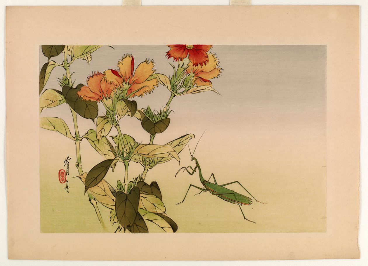 Campion Flower and Praying Mantis, from the series Seitei