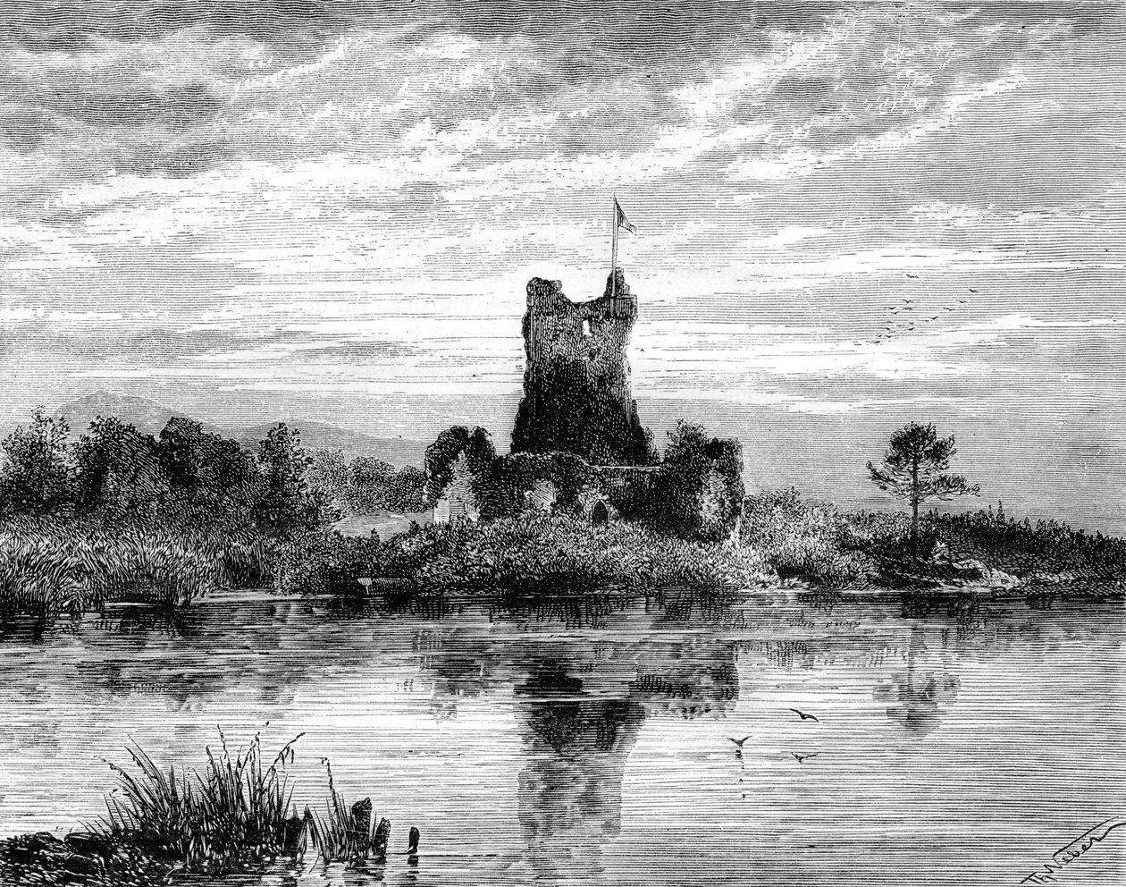 Ross Castle, County Kerry, Ireland by Weber