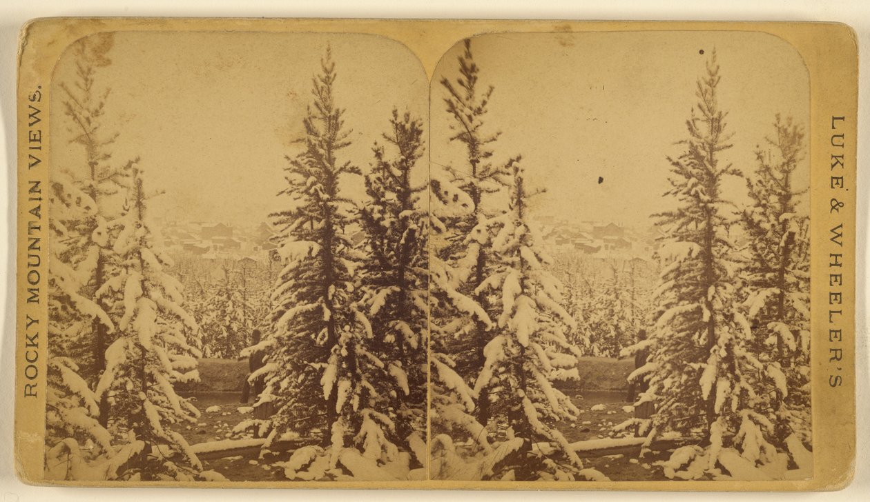 Trees with Snow, Leadville, Colorado by Wellington O. Luke and Dansford Noble Wheeler