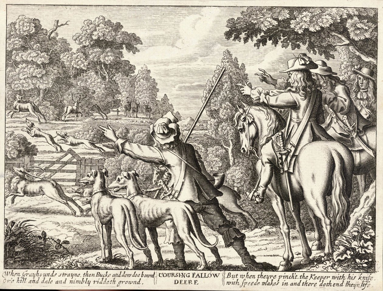 Coursing Fallow Deer by Wenceslaus Hollar
