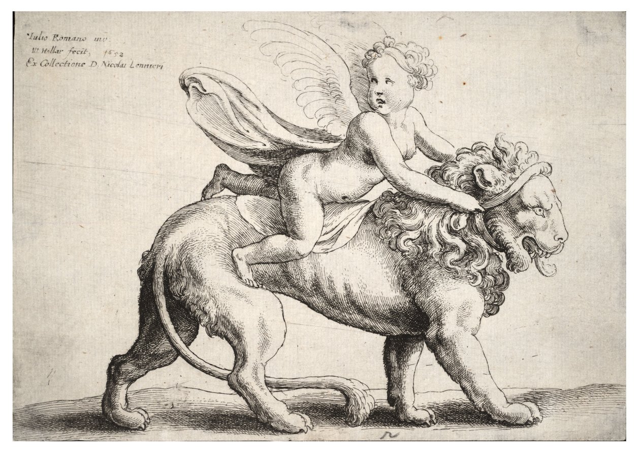 Cupid on a Lion, After Giulio Romano by Wenceslaus Hollar