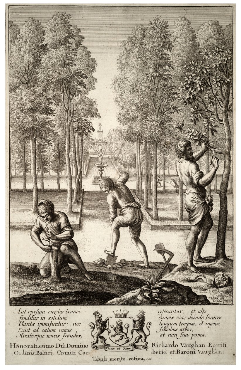 Gardening. State 1 by Wenceslaus Hollar