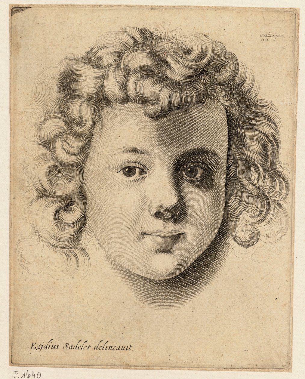 Head of a Child, after Sadeler by Wenceslaus Hollar