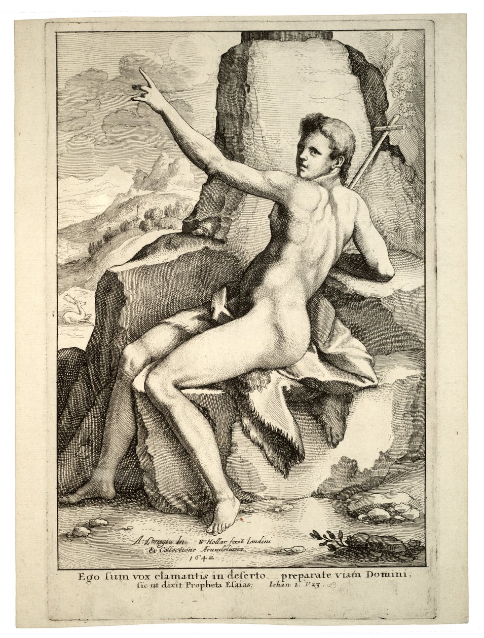 John the Baptist. State 2 by Wenceslaus Hollar