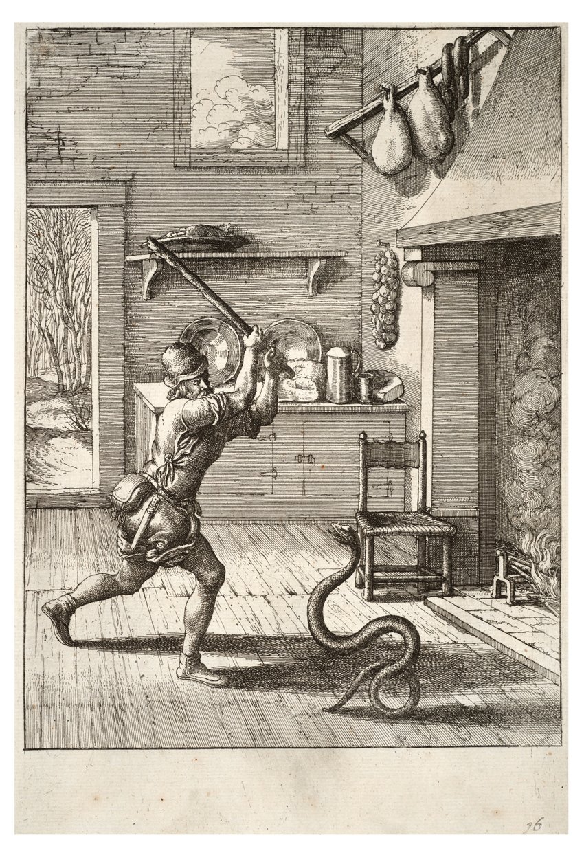 The Man and the Snake by Wenceslaus Hollar