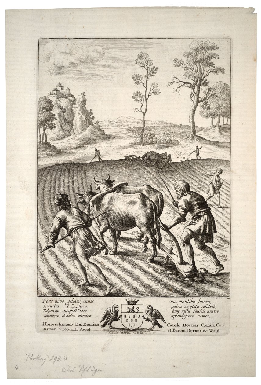 The Ploughman (State 2) by Wenceslaus Hollar