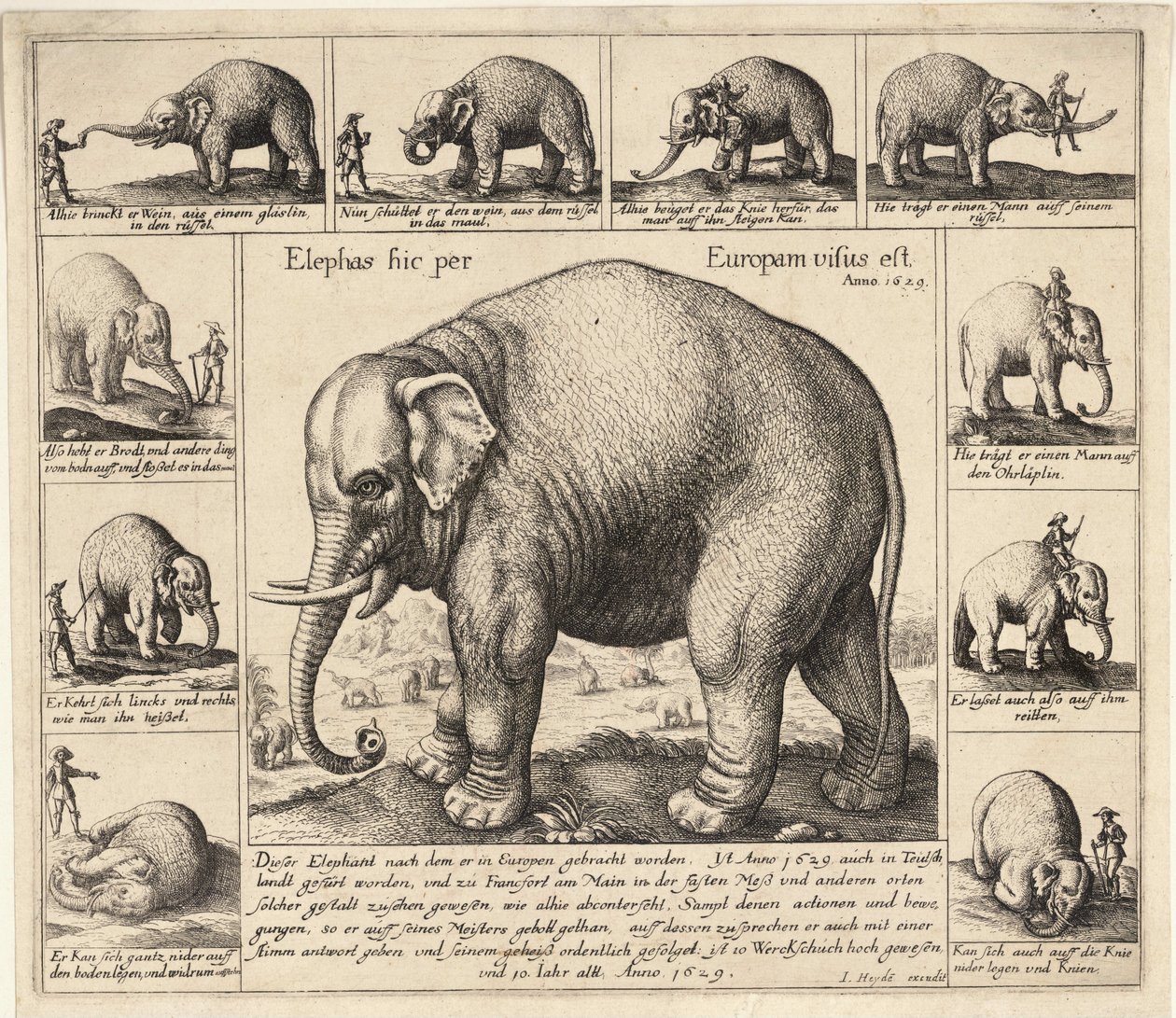 The Tame Elephant by Wenceslaus Hollar