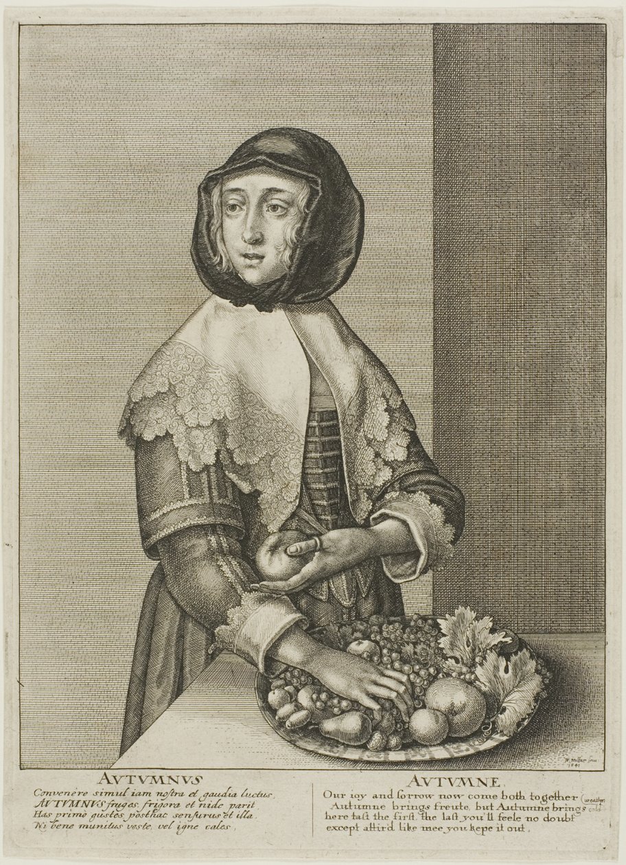 Autumn by Wenceslaus Hollar
