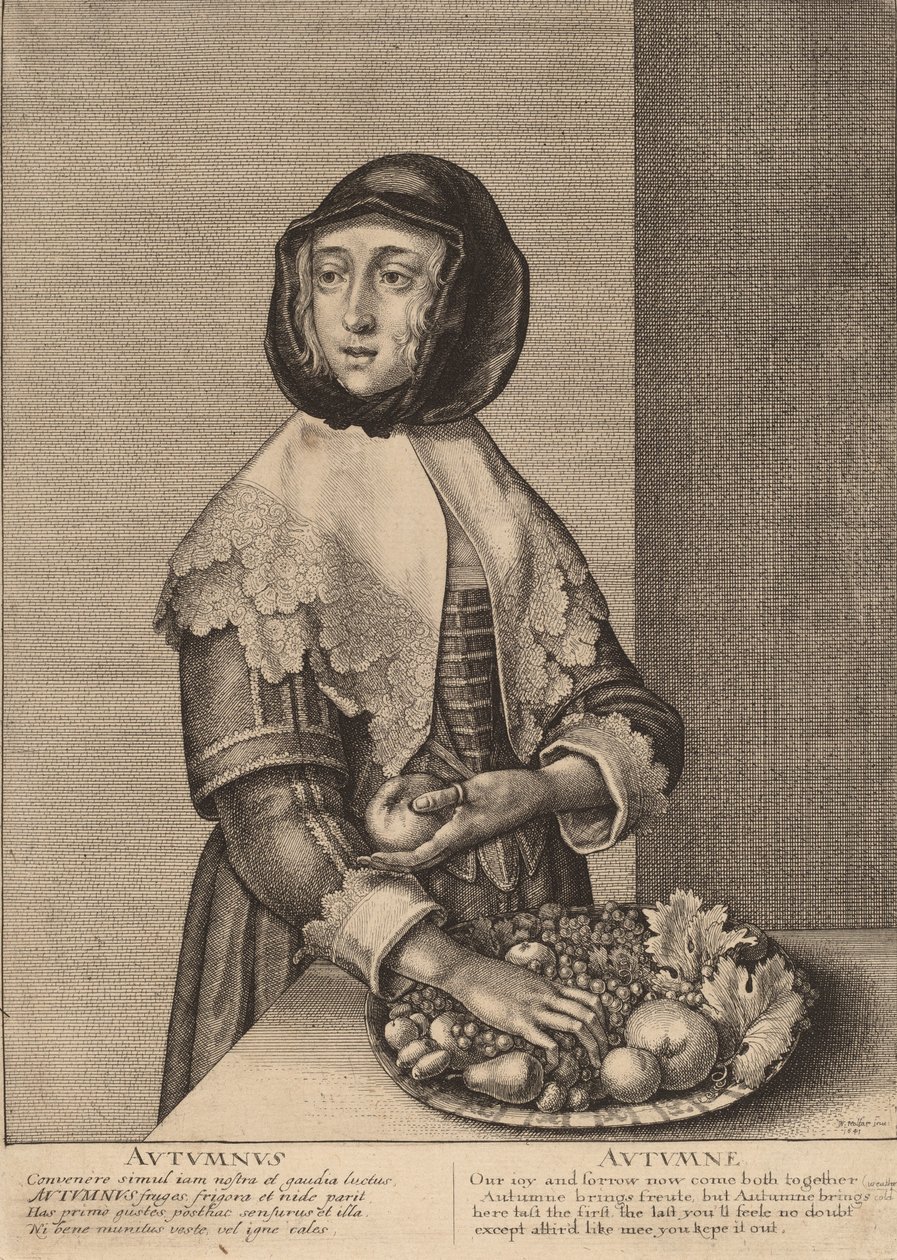 Autumn by Wenceslaus Hollar