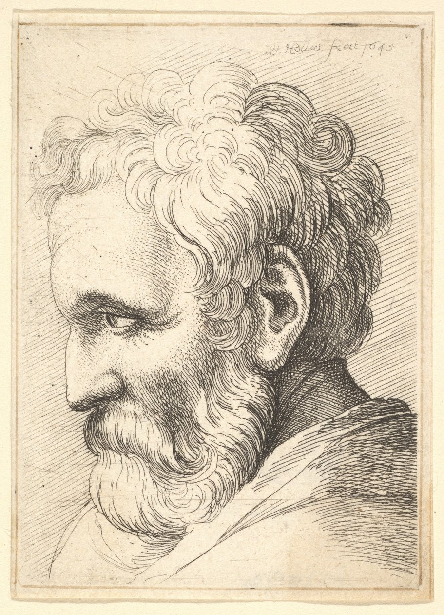 Bearded Old Man by Wenceslaus Hollar