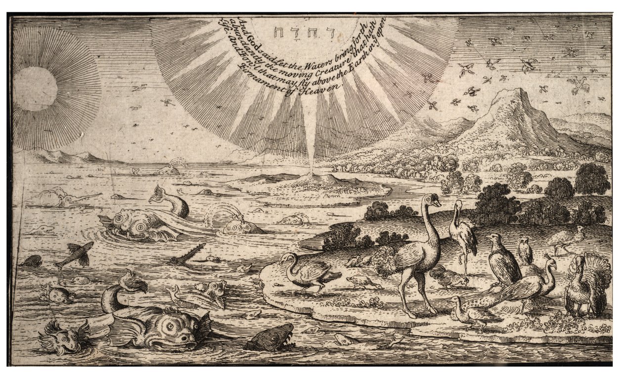Creation of birds and fishes (State 1) by Wenceslaus Hollar