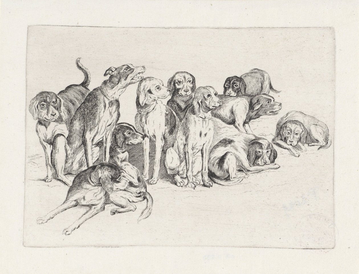 Eleven Hunting Dogs by Wenceslaus Hollar