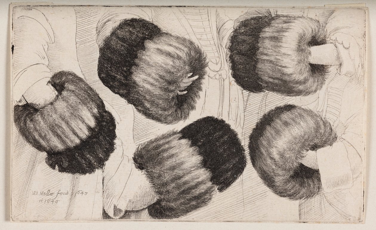 A Muff Seen in Five Different Ways by Wenceslaus Hollar