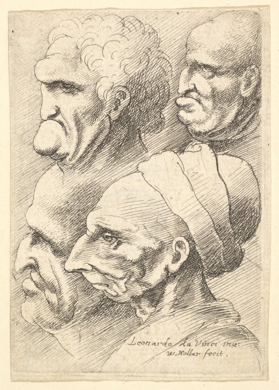 Four Grotesque Heads in Profile to Left by Wenceslaus Hollar