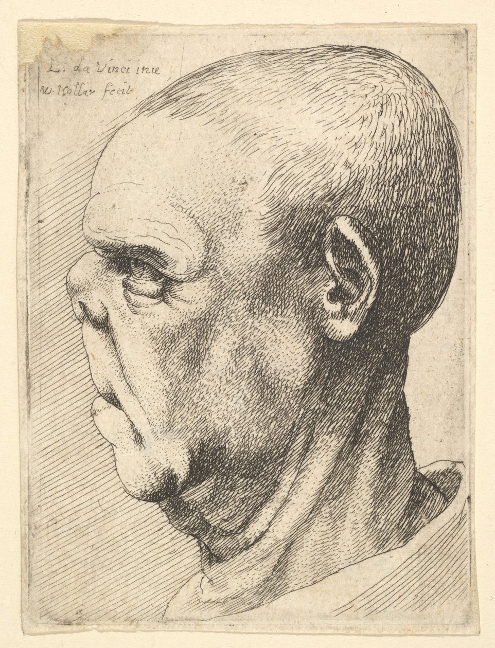 Grotesque Old Man with Flattened Nose in Profile to Left by Wenceslaus Hollar
