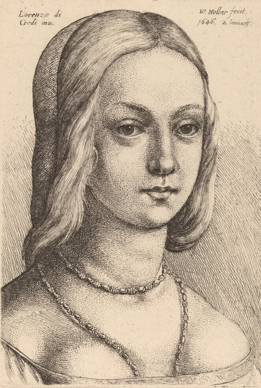 Head of Woman Looking Right by Wenceslaus Hollar