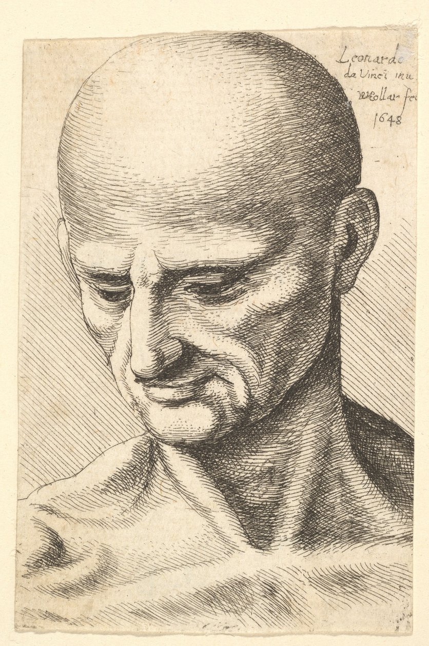 Head of a bald, sinewy man looking downwards, 1648 by Wenceslaus Hollar