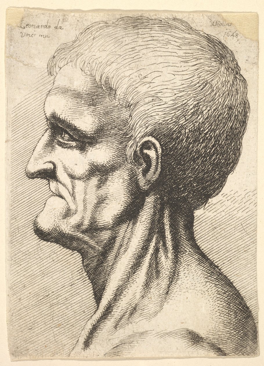 Head of a Toothless Man with Bare, Sinewy Neck in Profile to Left by Wenceslaus Hollar