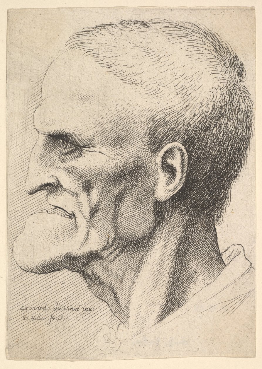 Head of an old man with a pronounced chin, short cropped hair and gaping mouth showing by Wenceslaus Hollar