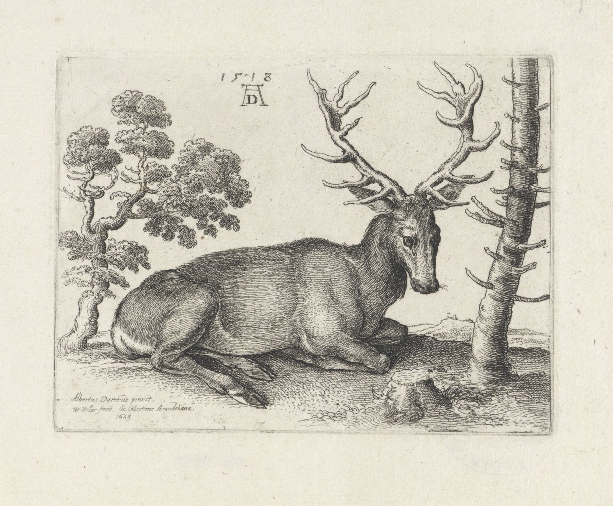 Lying Deer, Facing Right by Wenceslaus Hollar