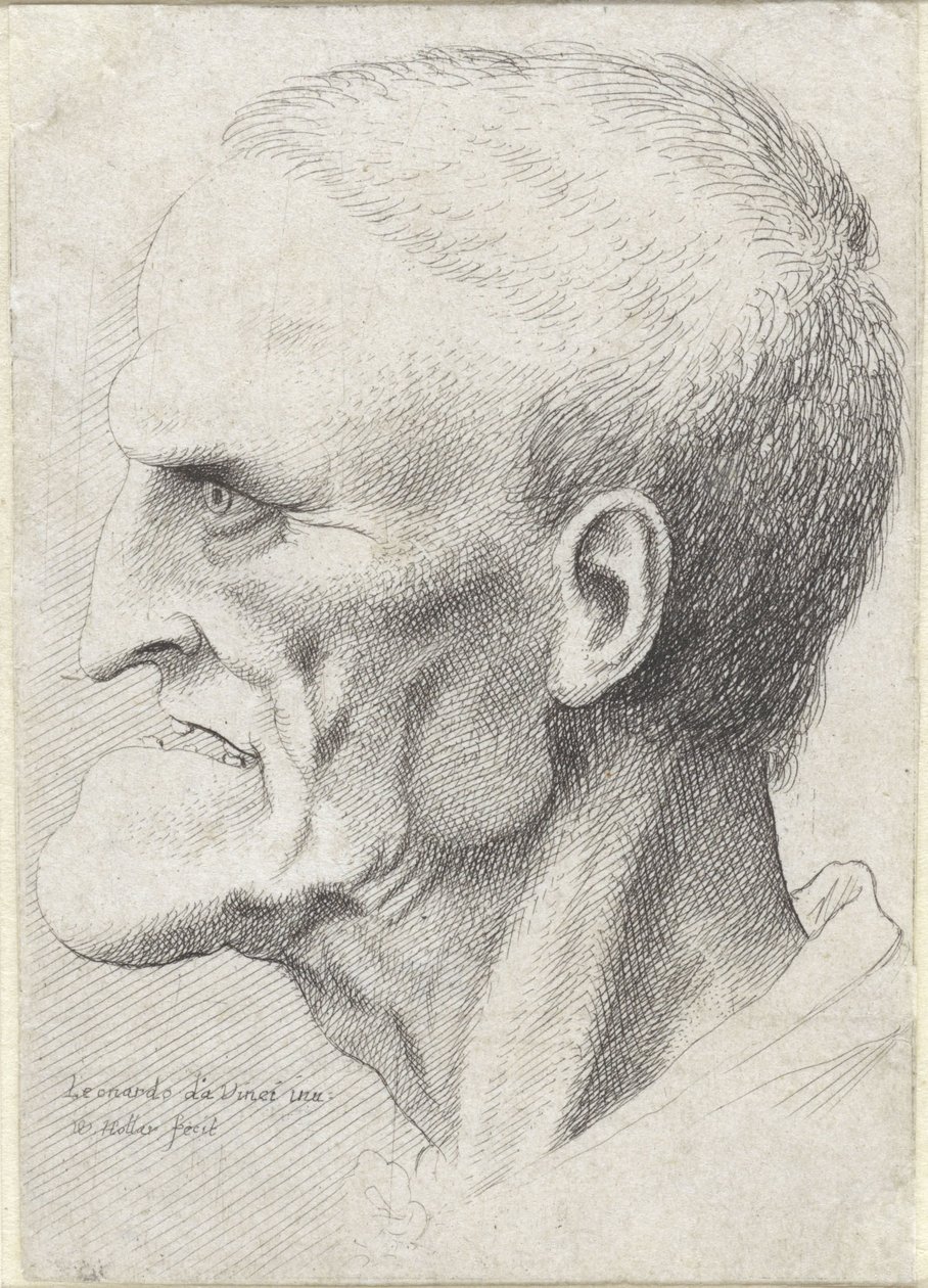 Portrait of an Old Man with Pronounced Chin by Wenceslaus Hollar