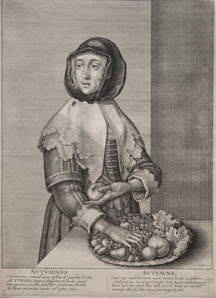 The Four Seasons: Autumn by Wenceslaus Hollar